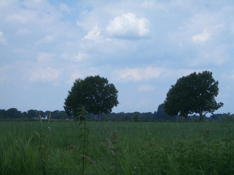 CIMG4404.JPG